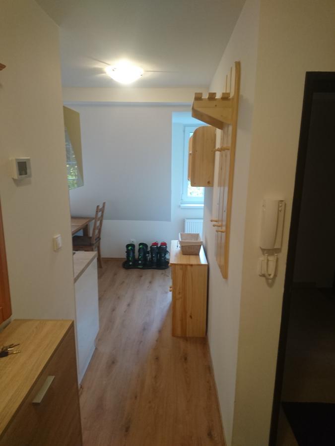 ubytování u Javoru 232/9 Pec pod Snezkou Esterno foto